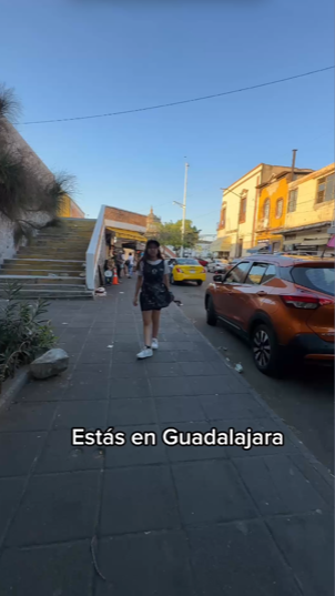 Video reel cover